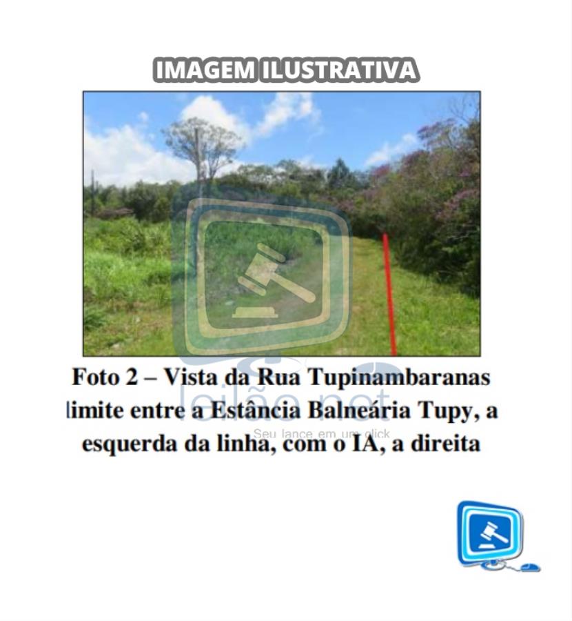 miniatura-2