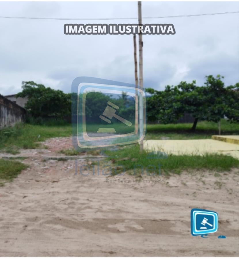 Imagem 7
